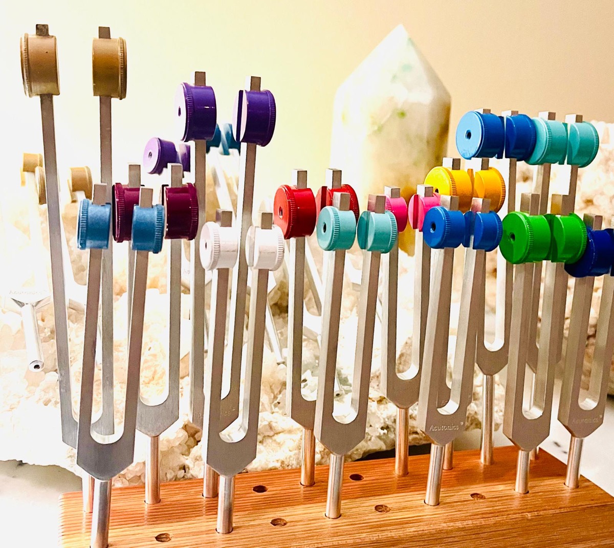 Acutonics planetary tuning forks used in sound healing training