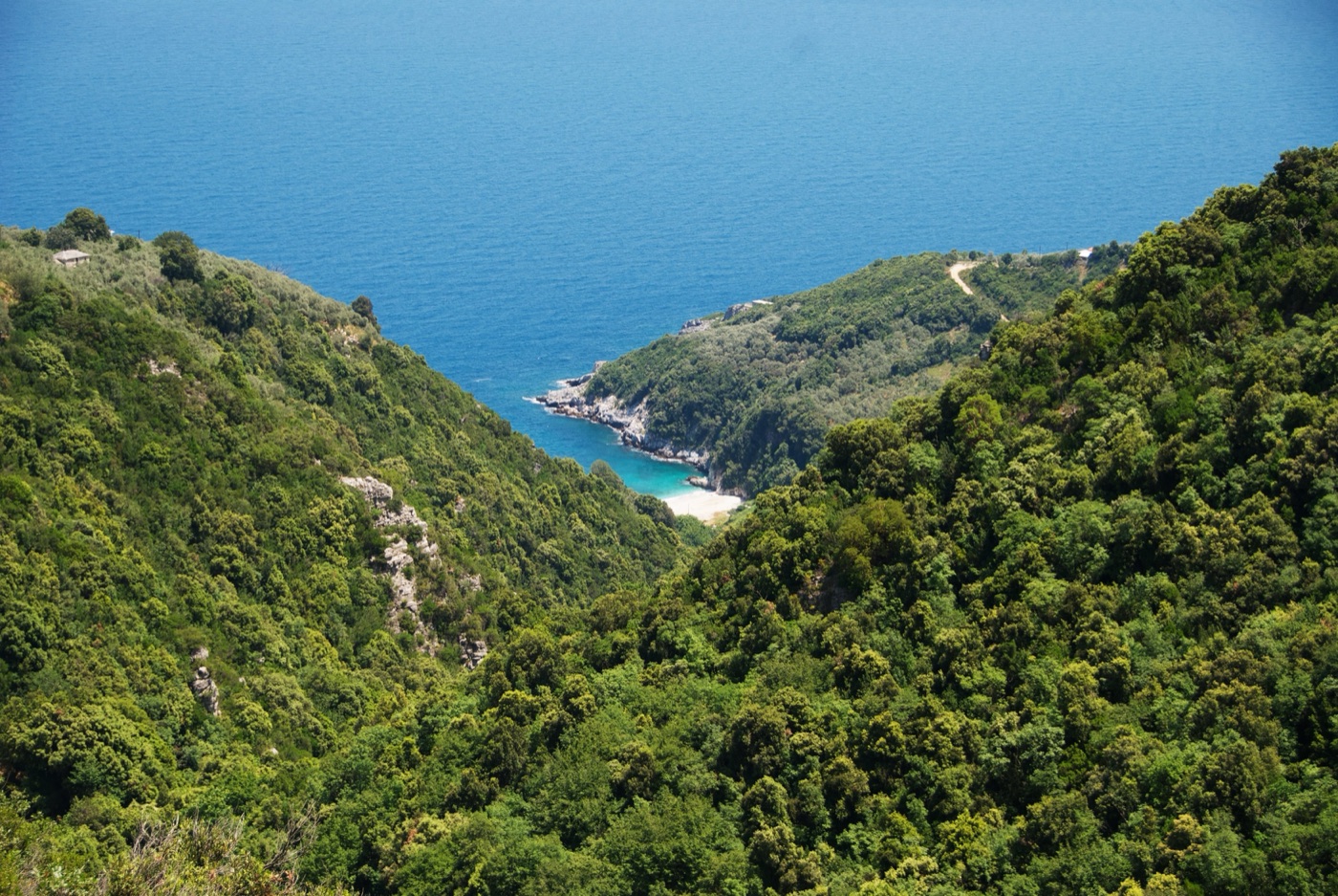 Green Pelion hillsides descending to a hidden beach on the Aegean