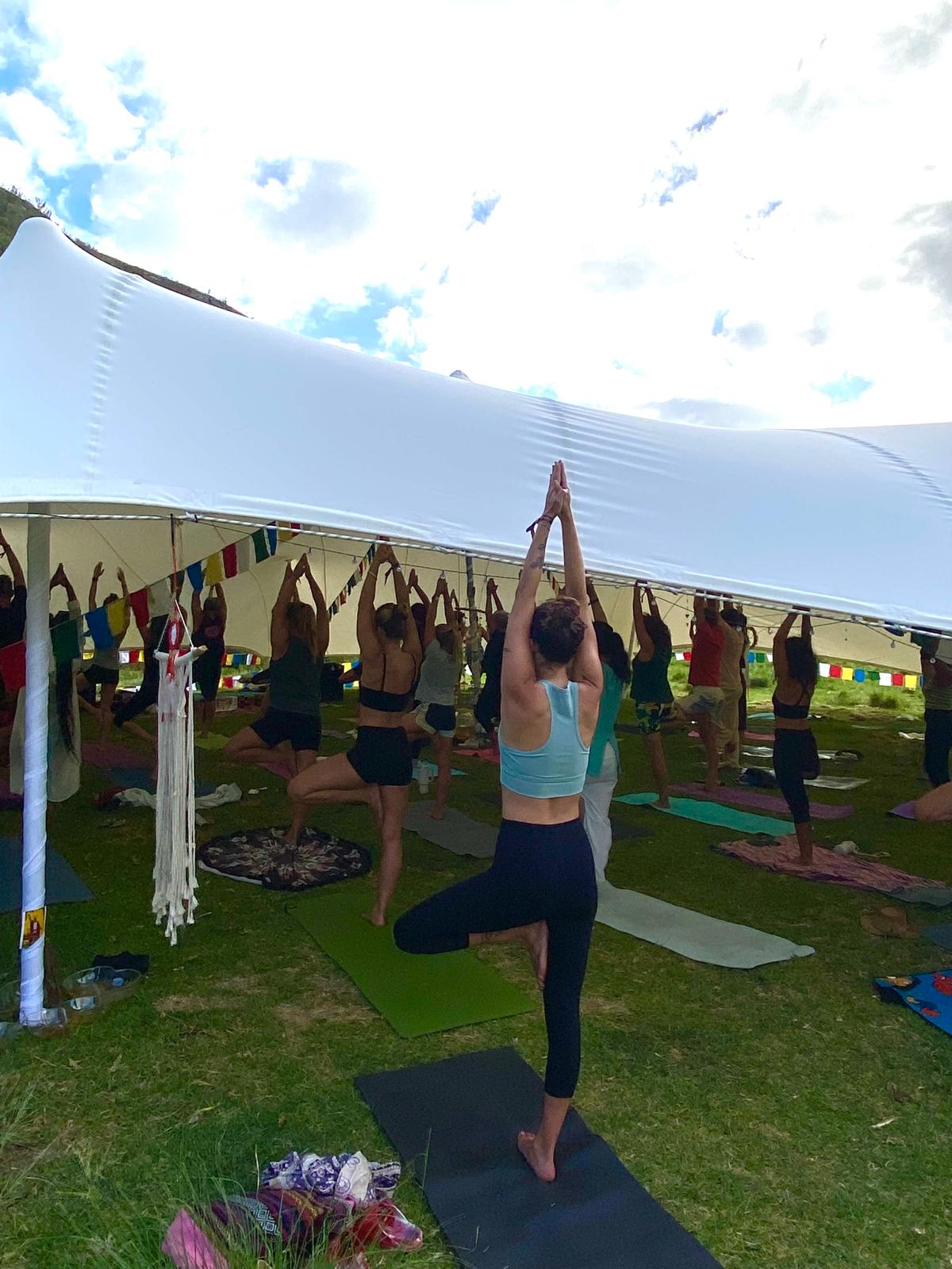 Festival yoga class practicing tree pose with arms overhead
