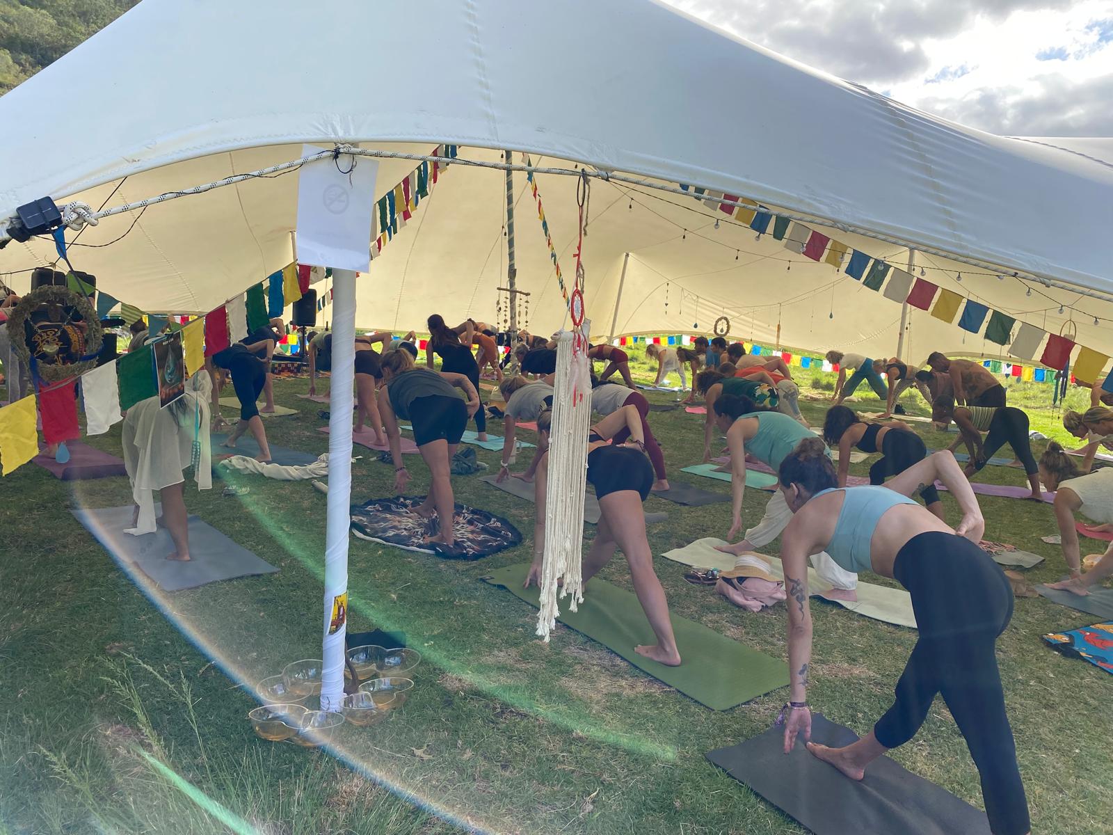 Standing forward folds during outdoor festival yoga class
